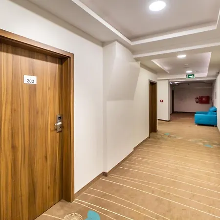 Apartment Rent Like 203 *
